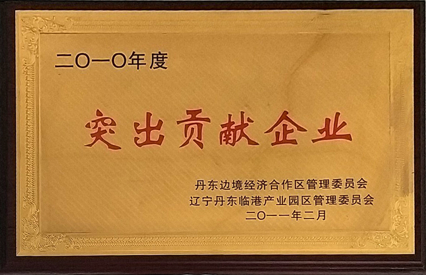 2010年突出貢獻(xiàn)企業(yè).jpg